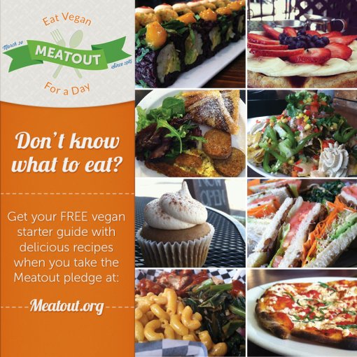 Meatout recipes [ 762.34 Kb ]
