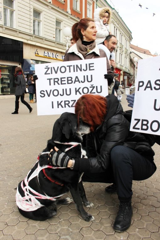 Znate li �to odijevate? [ 278.82 Kb ]