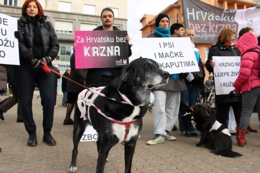 Znate li �to odijevate? [ 141.81 Kb ]