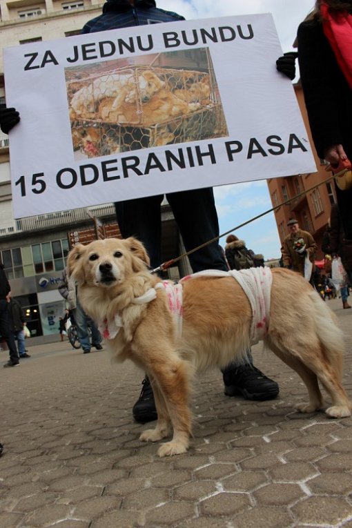 Znate li �to odijevate?