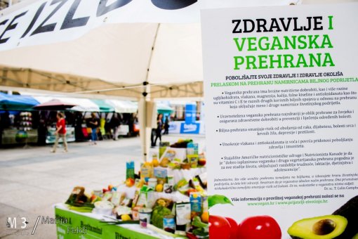 ZeGeVege 2015 [ 246.64 Kb ]